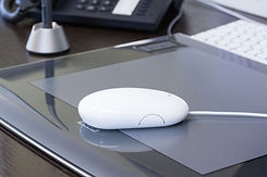 Computer Mouse