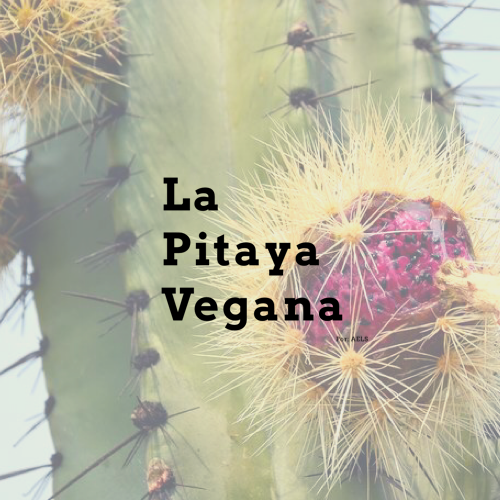 Writer: La Pitaya Vegana 
