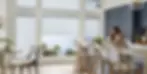 rolllershades.webp