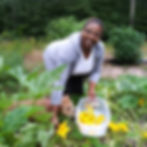 Our Chef Picking Squash Blossoms