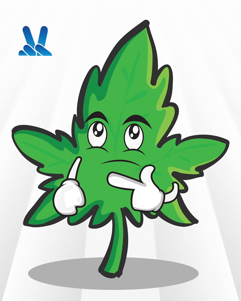 What New Cannabis Shoppers Usually Want to Know