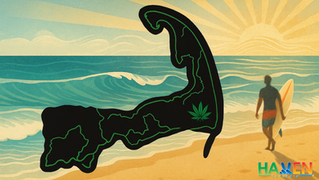 Haven: Cape Cod’s Premier Cannabis Destination 🌊✨