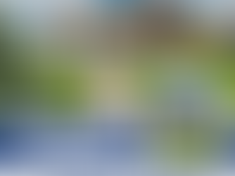 Want your home or business to stand out? 