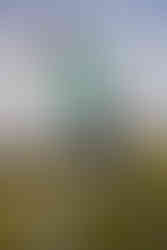 Jack Performance Pant