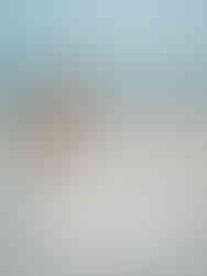 bride on the beach looking down at her train of her dress holding a vibrant bouquet on the beach