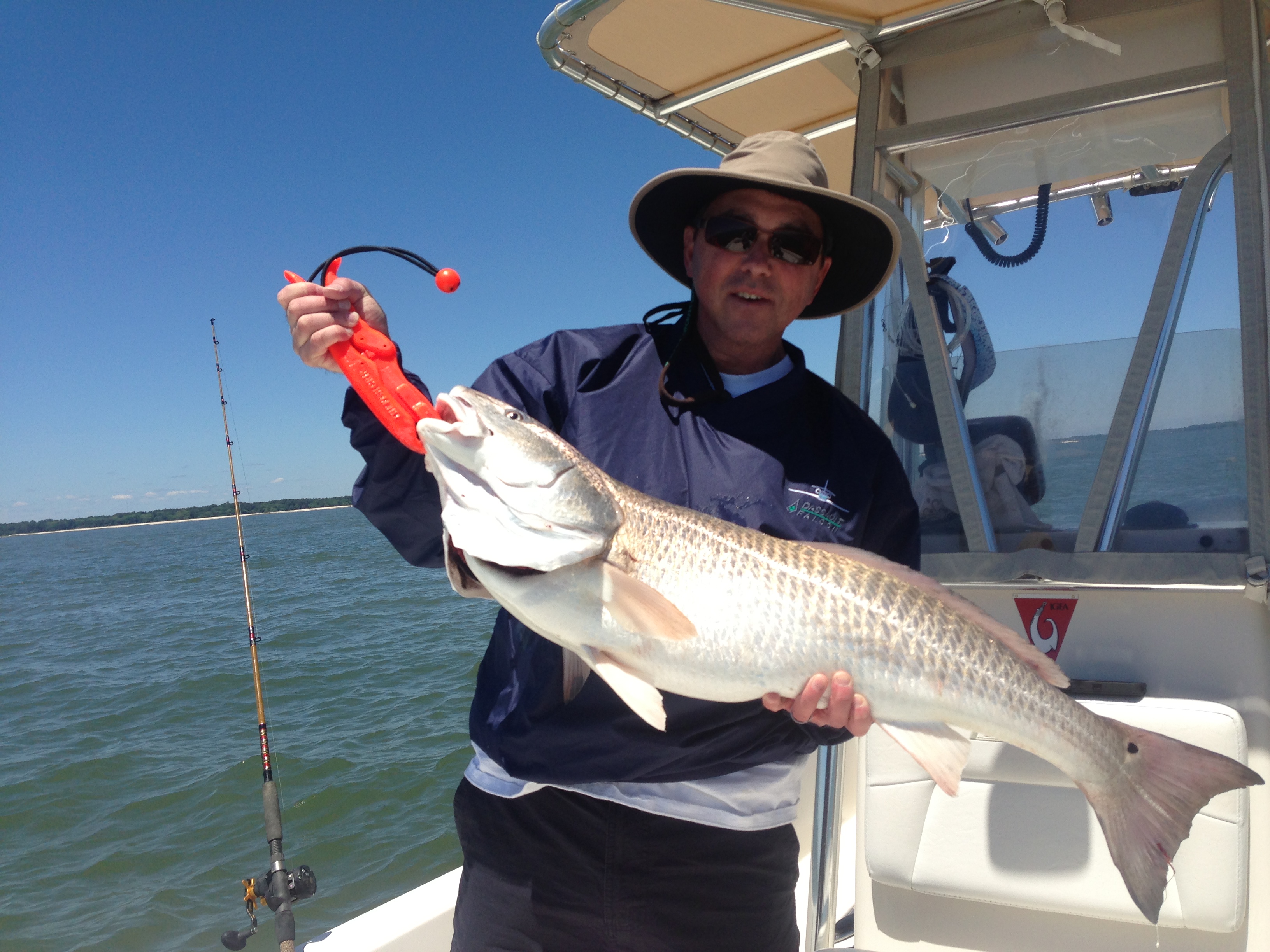 Charter Fishing Hilton Head SC Shelter Cove Harbour & Marina