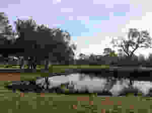 2.