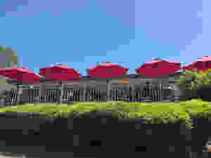 6.