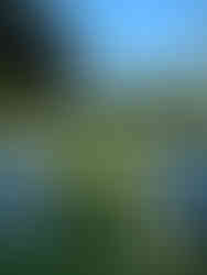 beautiful wedding ceremony setup on the greens at Arthur Hills Golf Course with blue and white flowers lining the aisle