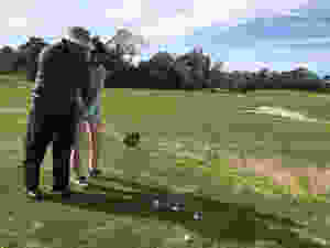 3.