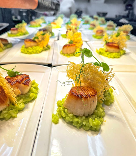 several plates of scallops with pea truffle risotto