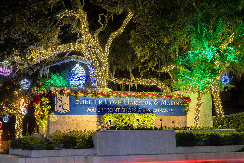 Christmas-lights-Shelter-Cove-NOV22-AB3A5236-web.jpg