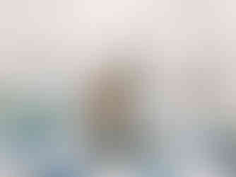 place settings under the tent with blue napkins and red and blue floral centerpiece