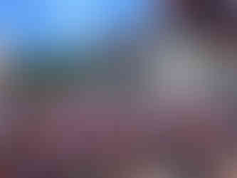 crowd at Harbourfest