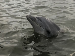 Hilton Head Locals with Bluewater Adventure
