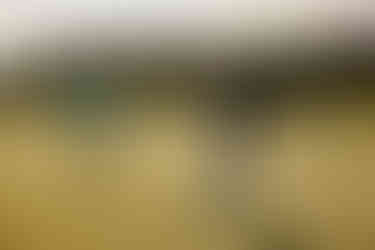 Southern Tide Fall Collection