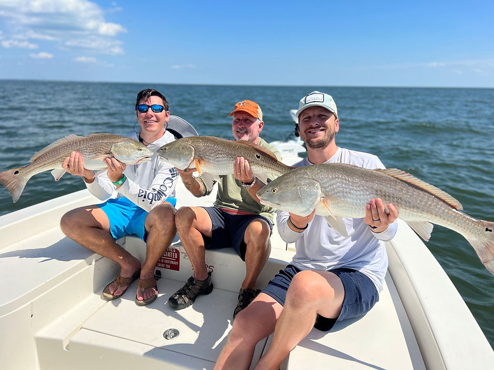 fishing23Bayrunner.jpg