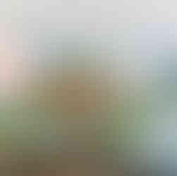 large floral centerpiece with pinks, corals, and blues on the coffee table wit ha blue couch in the background