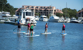 group of stand up paddleboarders 