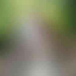 Biking at Palmetto Dunes