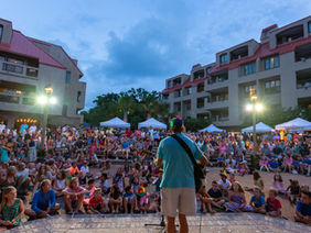 Shannon Tanner performing