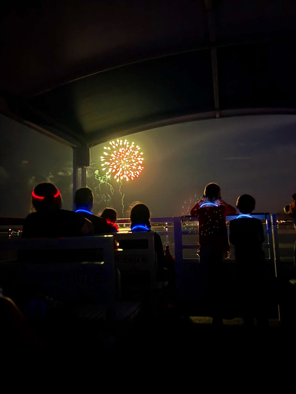 Fireworks from Seafari boat