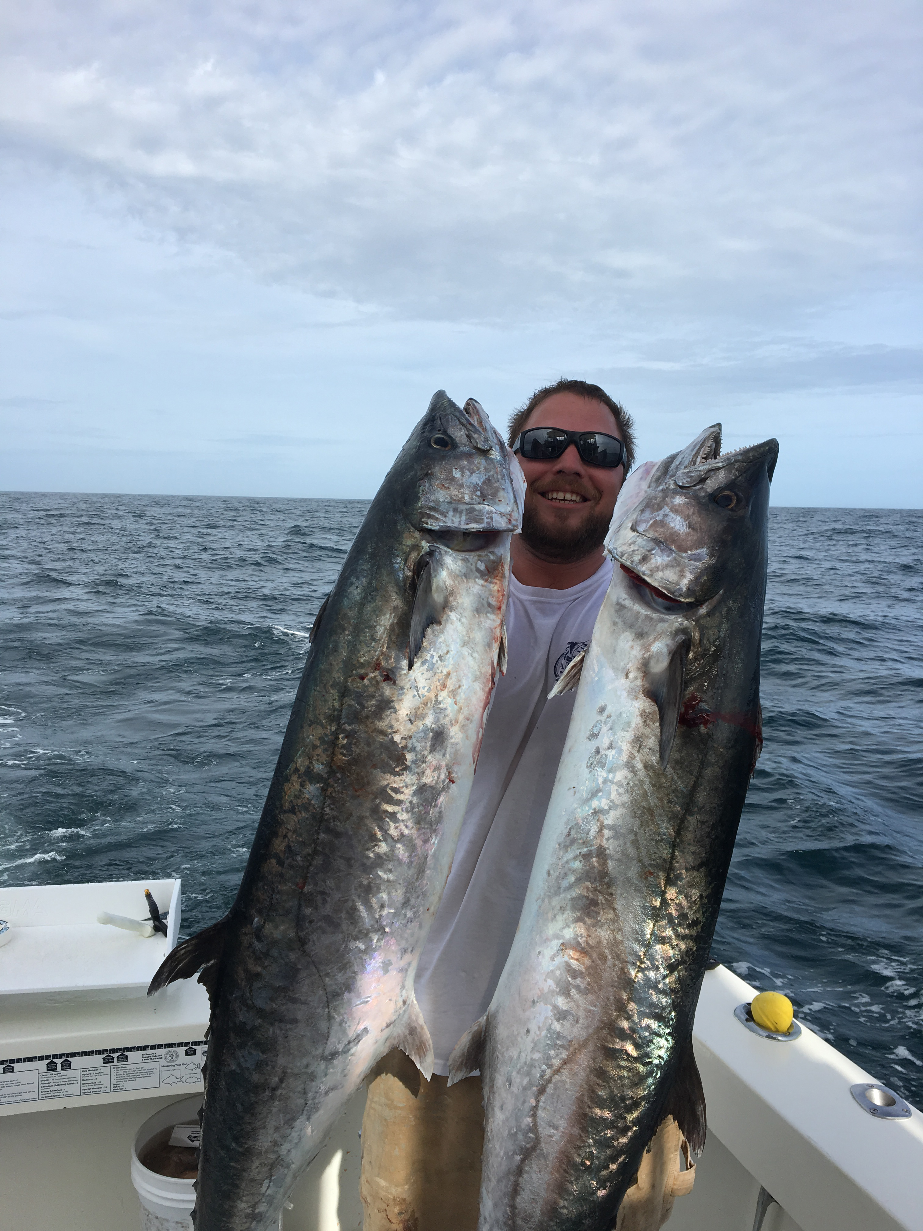 Shelter cove fishing charters Clearance