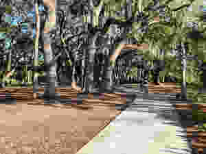Bikers on Hilton Head Island Bike Path