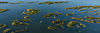 Updated-footer.jpg