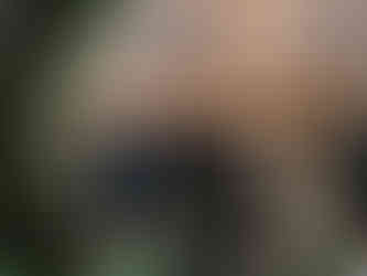 the back view of the bride and groom holding up their glasses with father of the bride giving a toast