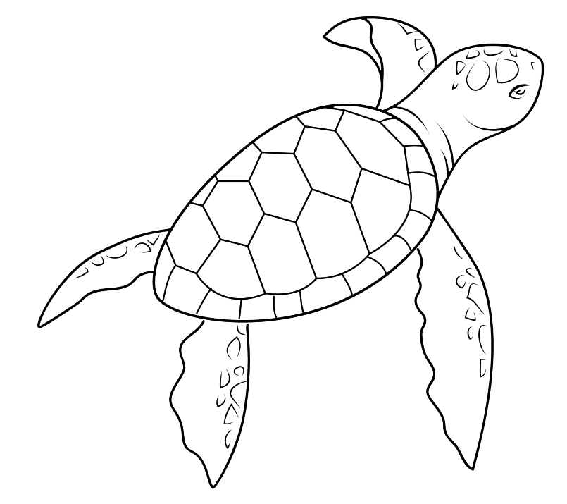 Palmetto Dunes General Store Breakfast, lunch & groceries Hilton Head, SC