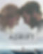 adrift_poster.jpg