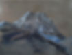 Corno grande