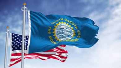 South Dakota flag.jpeg