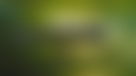 Ecosia dan Rencana Climate Nobel Prize 2026: Cara Baru Mengakselerasi Aksi Iklim