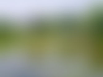 сеул с гидом экскурсии по дворцу