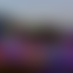 Авторская экскурсия в сад утреннего спокойствия - философия корейского сада с русским гидом