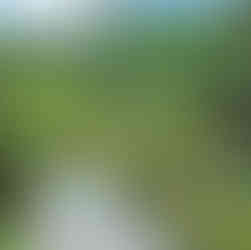 Южная Корея гид экскурсия в сад утреннего спокойствия