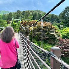 Гид по достопримечательным местам Сеула сад утреннего спокойствия 