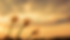aa12e4fe-5255-45d6-a0ec-faa4582481a6.png
