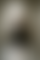 💫 Volver a Bailar: cuando tu cuerpo despierta memorias y tu alma se emociona. Ballet para adultos.