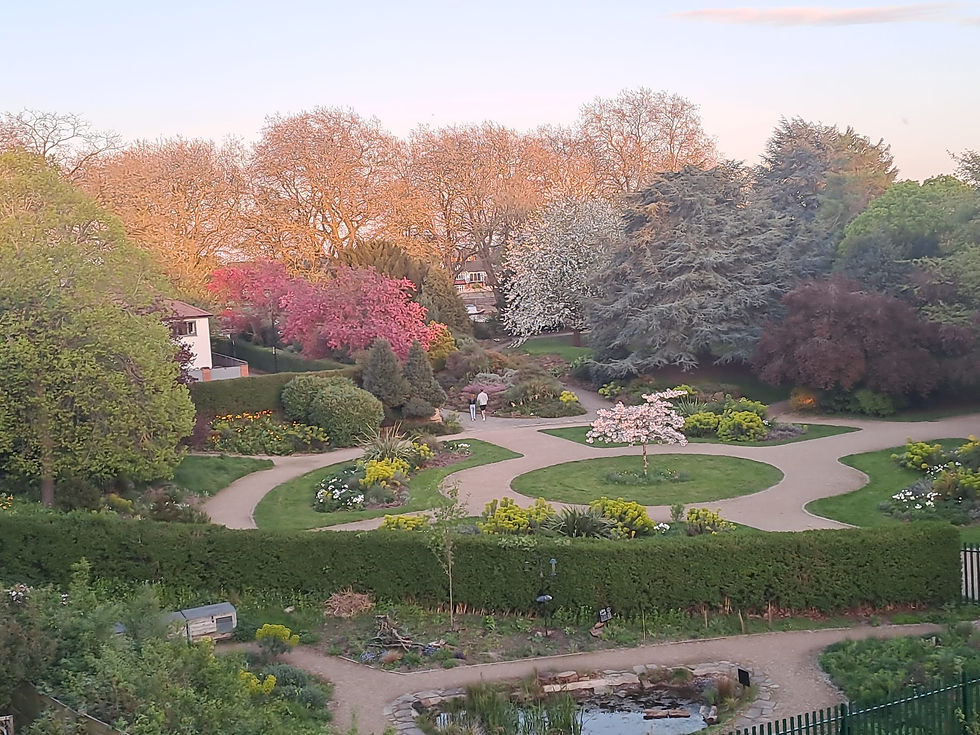 Evening in the gardens