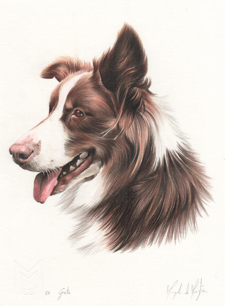 Greta 15x20 matite colorate 2017.jpeg