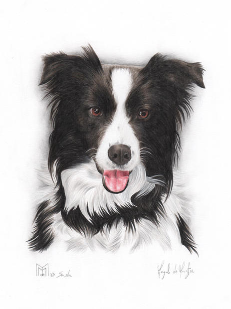 Sasha 15x20 matite colorate 2015