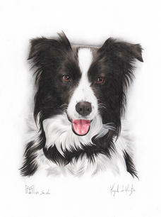 Sasha 15x20 matite colorate 2015