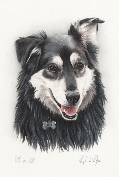 Lilli 15x20 matite colorate 2017