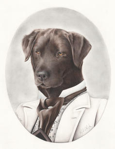 Lord Labrador 20x25 matite colorate 2019