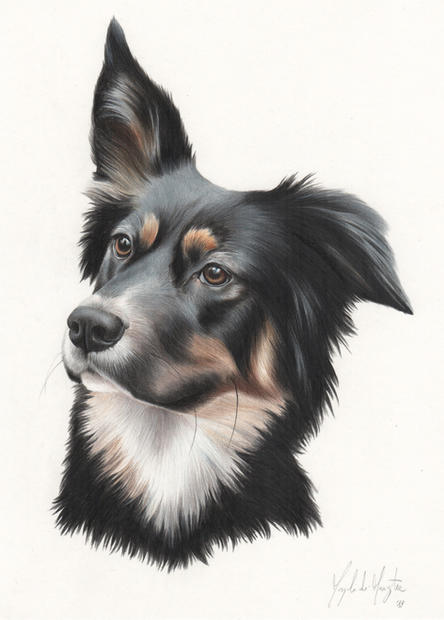 Xena 15x20 matite colorate 2019