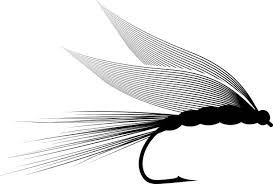 Fliegenfischen in der Bode