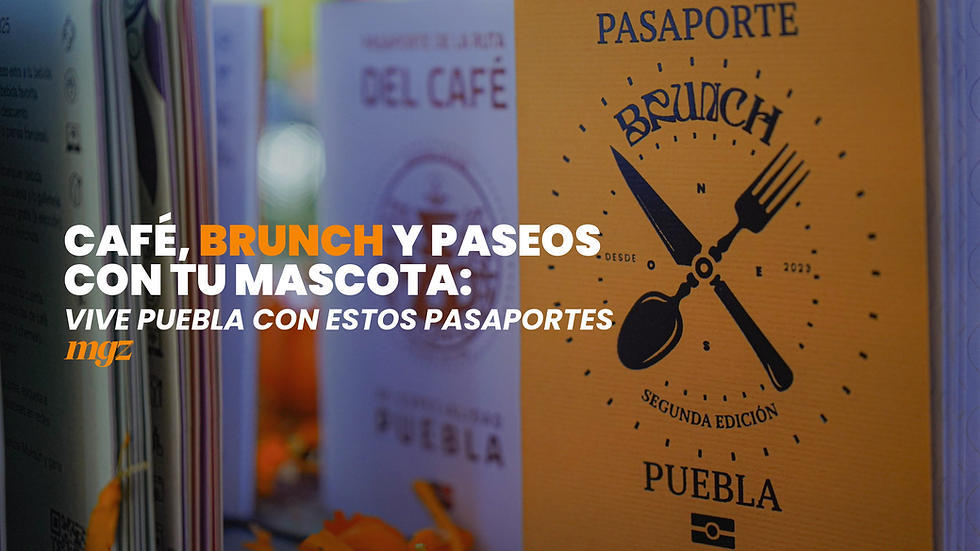 Café, brunch y paseos con tu mascota: vive Puebla con estos pasaportes